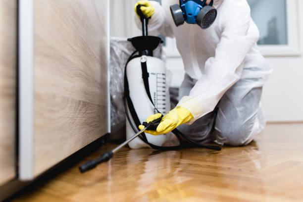 Best Insect Control  in Cherryvale, KS