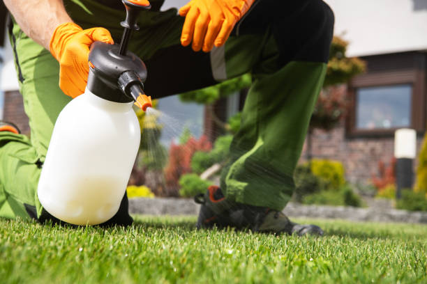 Best Pest Removal Services  in Cherryvale, KS