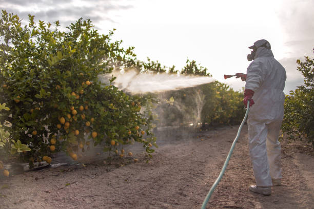 Best Rat Extermination Near Me  in Cherryvale, KS