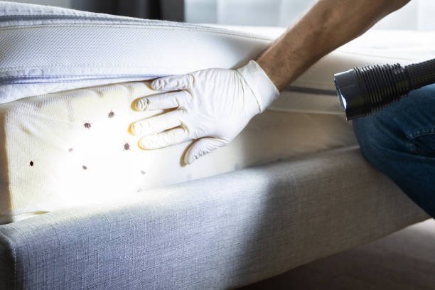 Best Insect Control  in Cherryvale, KS