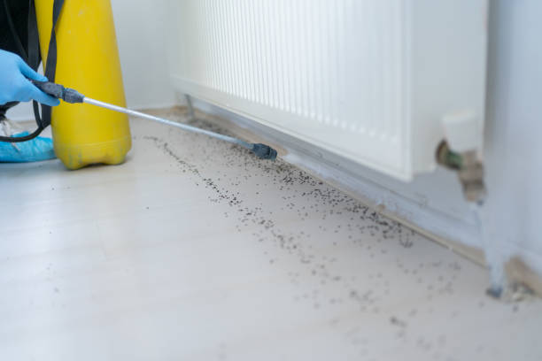 Best Pest Prevention Services  in Cherryvale, KS