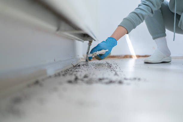 Best Termite Control Services  in Cherryvale, KS